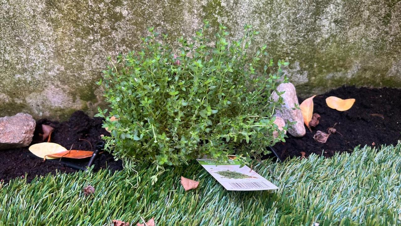 Garden Suite Болзано Екстериор снимка