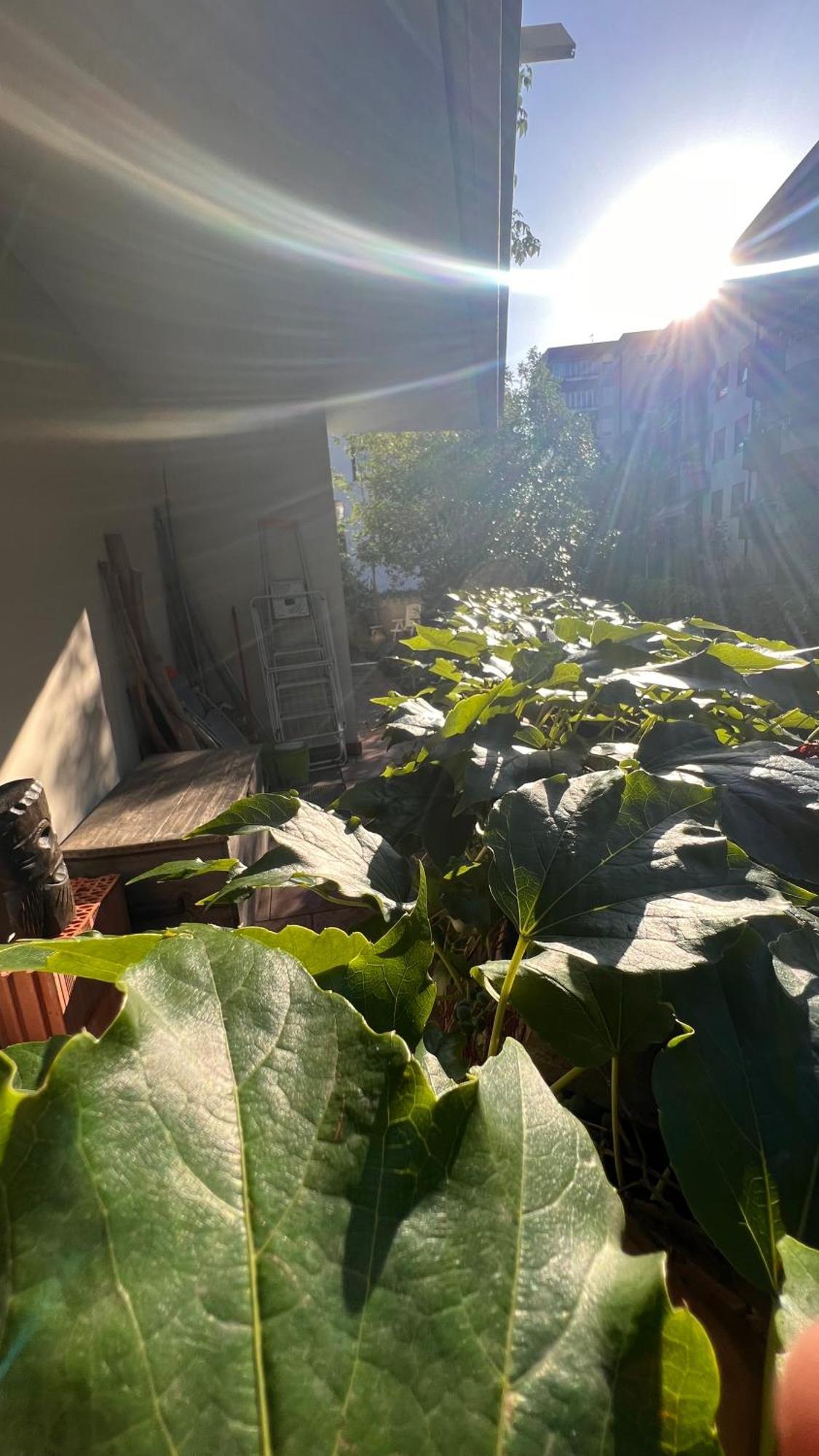 Garden Suite Болзано Екстериор снимка