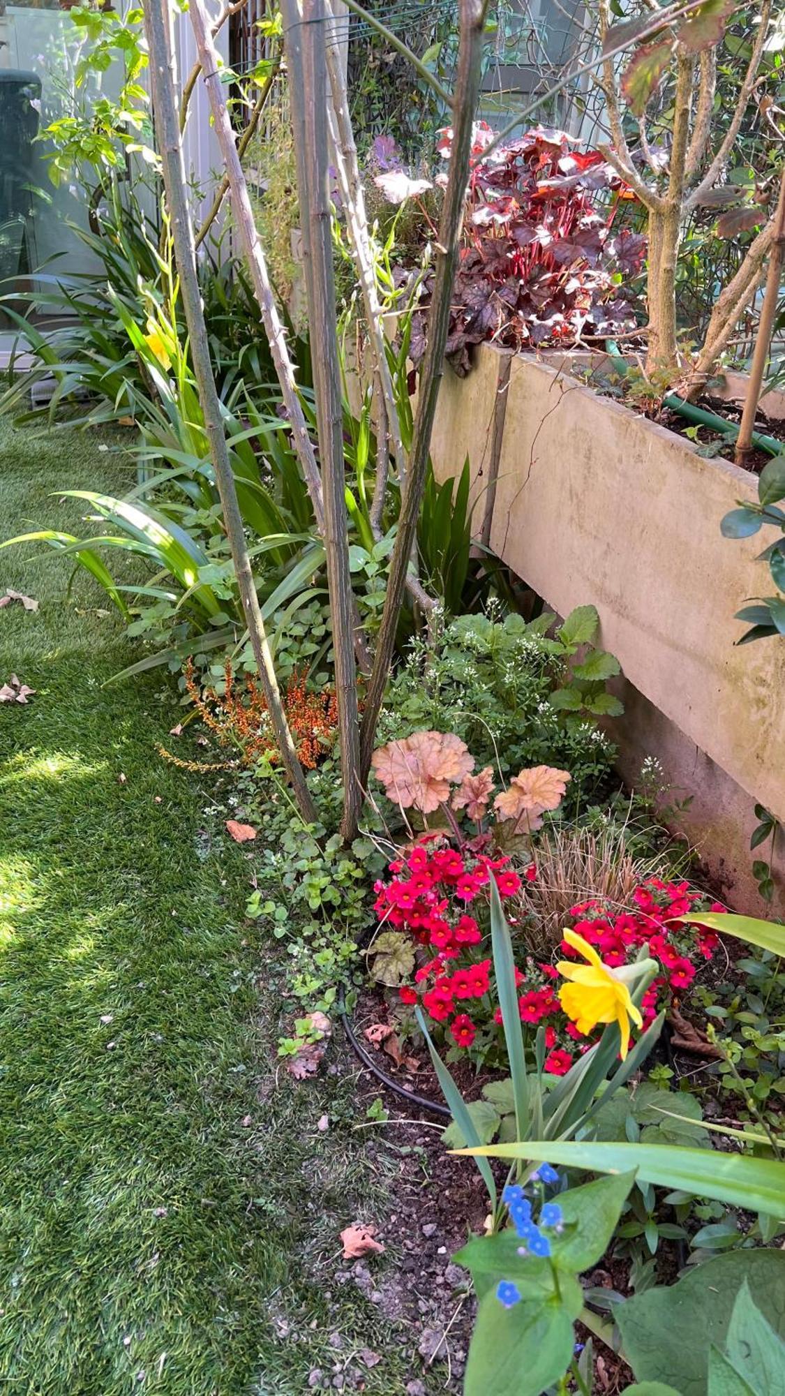 Garden Suite Болзано Екстериор снимка